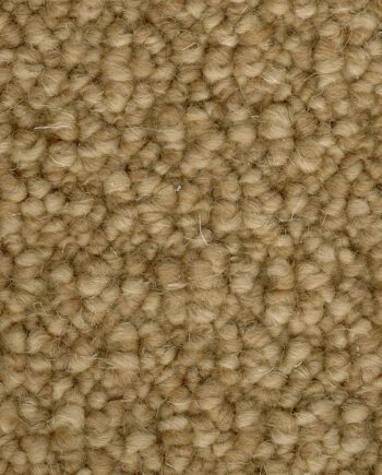 Woolen Carpet Berlin 516 springbok