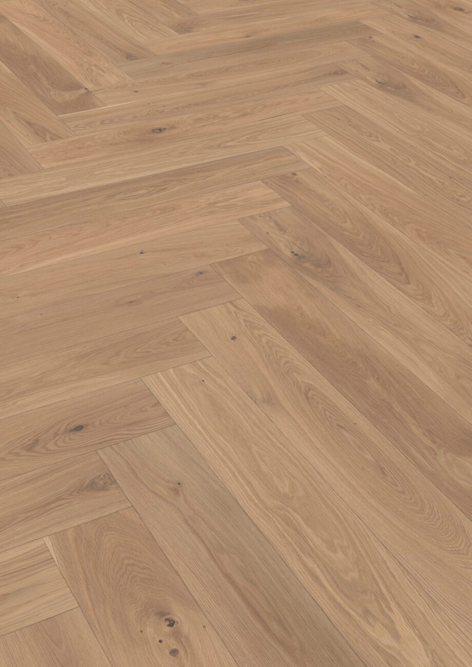 Parquet Oak, ter Hürne, oak light beige, herringbone, brushed, beveled, white natural oil-treated – 2
