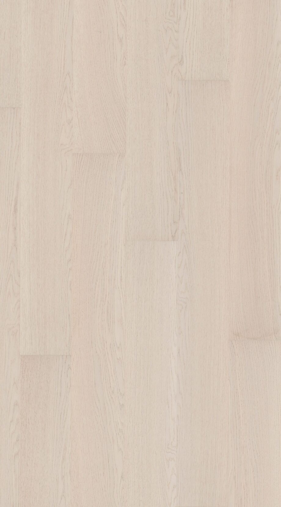 Parquet Oak Dia 4 sides beveled, brushed, matt lacquered