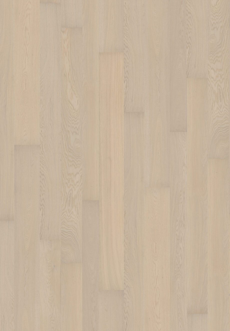 Parquet Oak Qua 4 sides beveled, brushed, matt lacquered