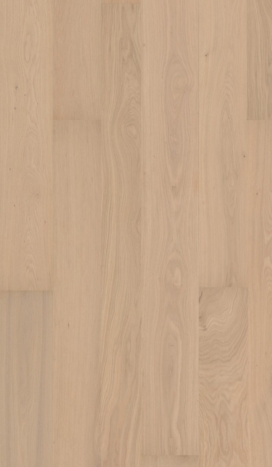 Parquet Oak Nac 4 sides beveled, brushed, matt lacquered