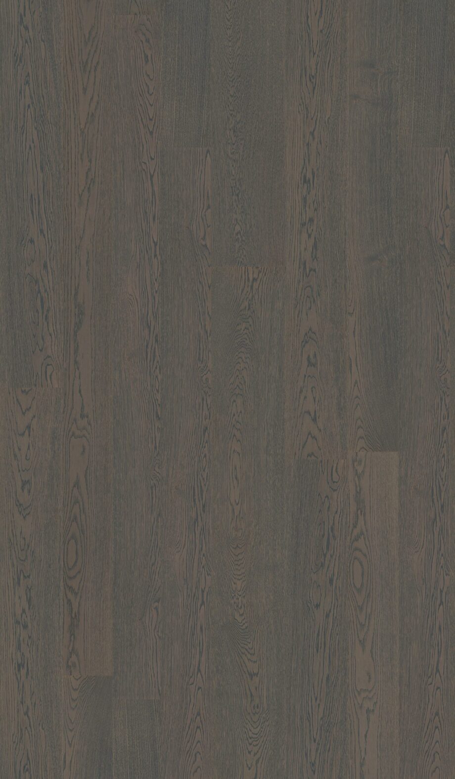 Parquet Oak Sla 4 sides beveled, brushed, matt lacquered