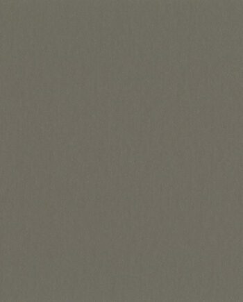 Linoleum floor Gerflor Uni Walton 0058 Clay Grey