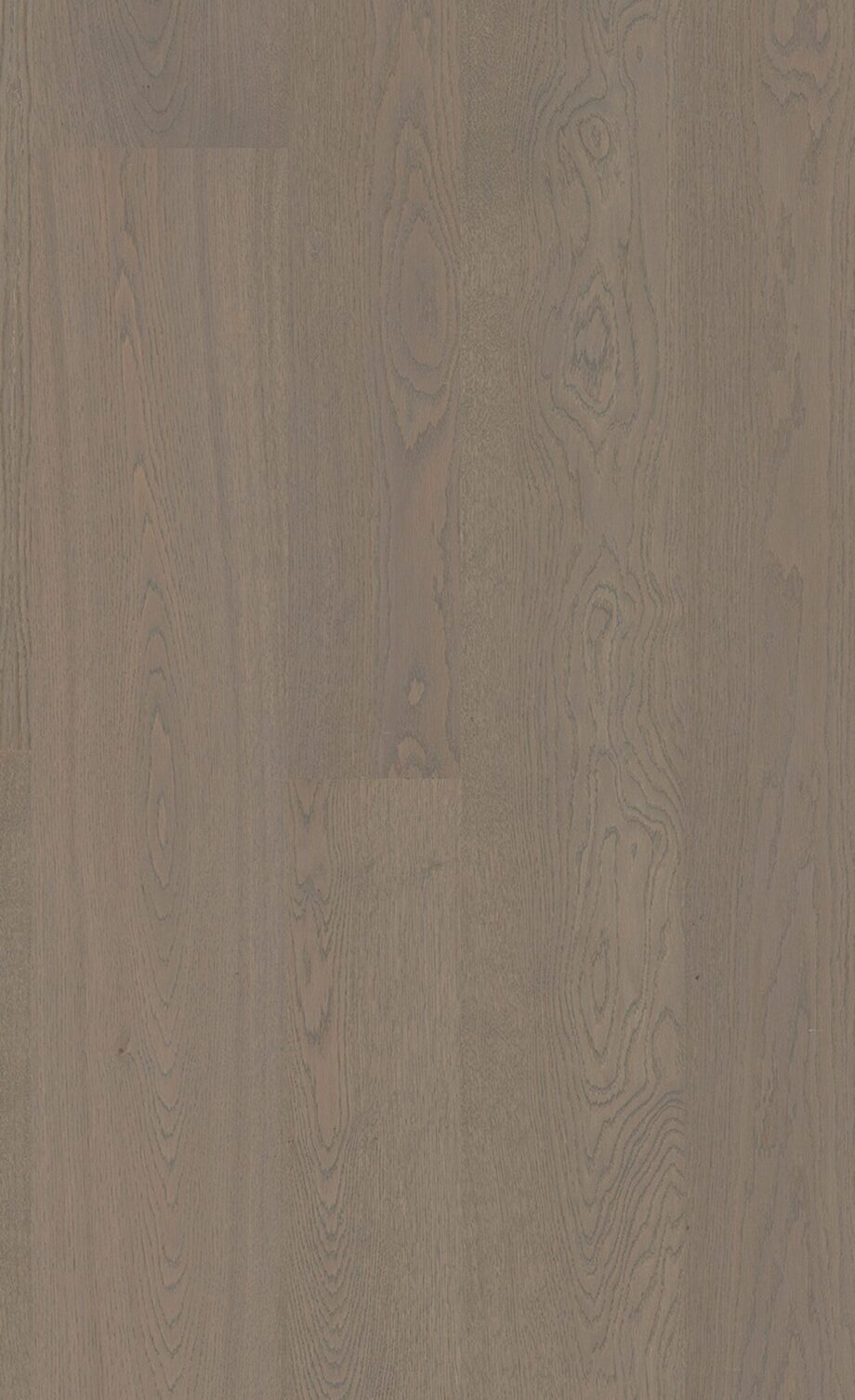 Parquet Oak Pea 4 sides beveled, brushed, matt lacquered – 2