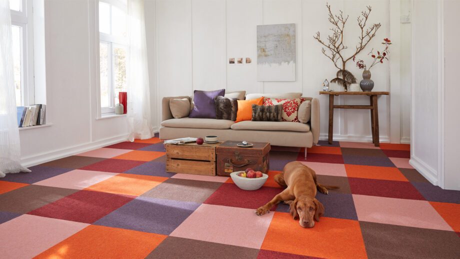 Coat wool carpets 585 Orange Squach