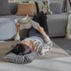 Carpet flooring from cashmere goat wool Tretford Interland 515 Silver – 4