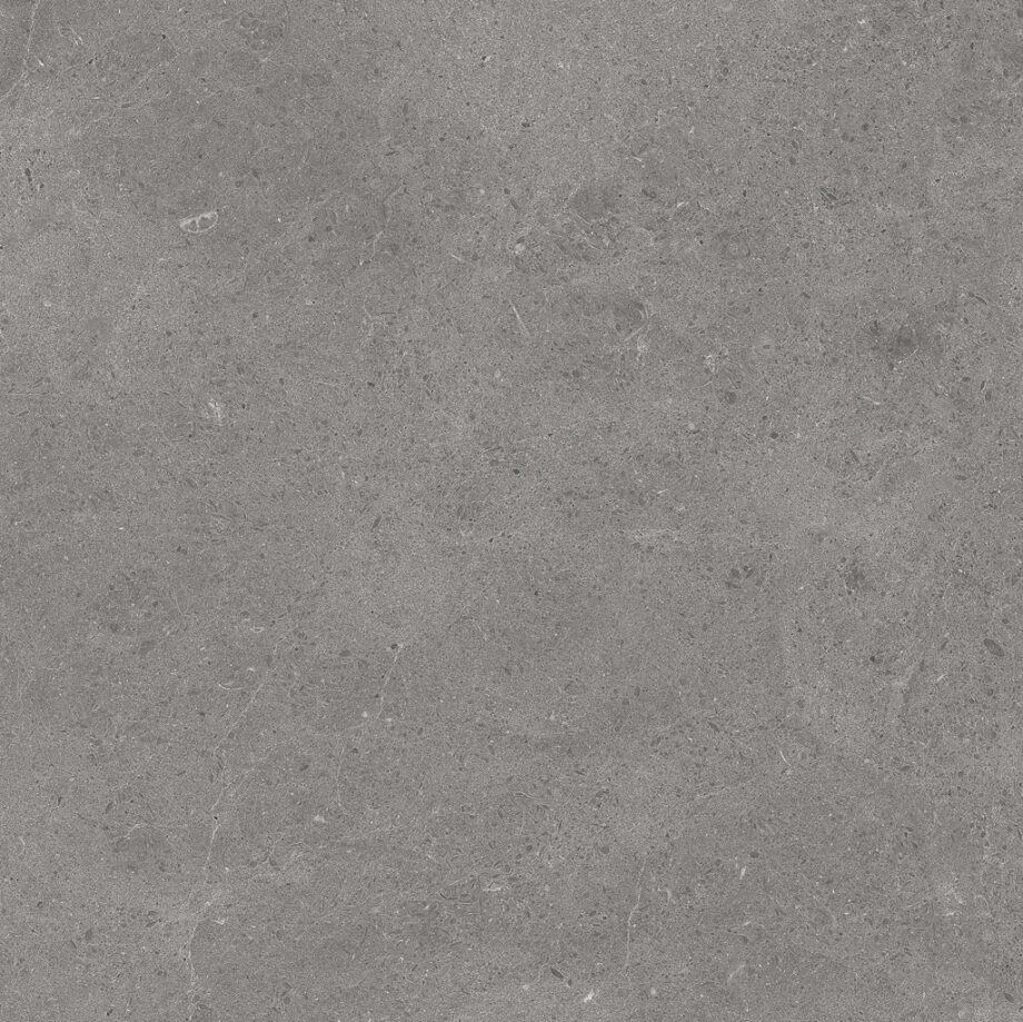 Floor tiles Tau Serenastone Gray mat rec