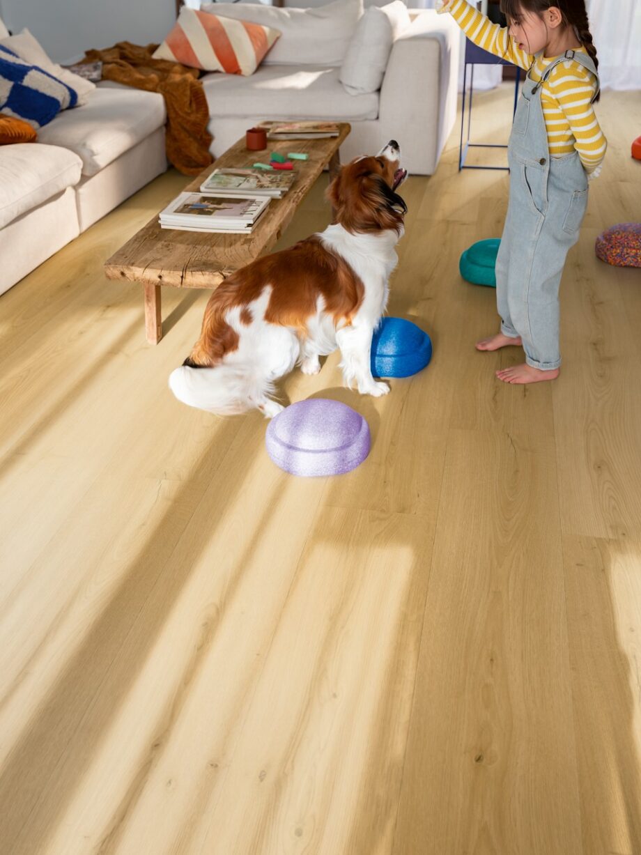 LVT põrandakate Quick Step Bloom brushed oak honey paigaldatud elutoa põrandale. Tüdruk, koer, telekalaud, diivan.