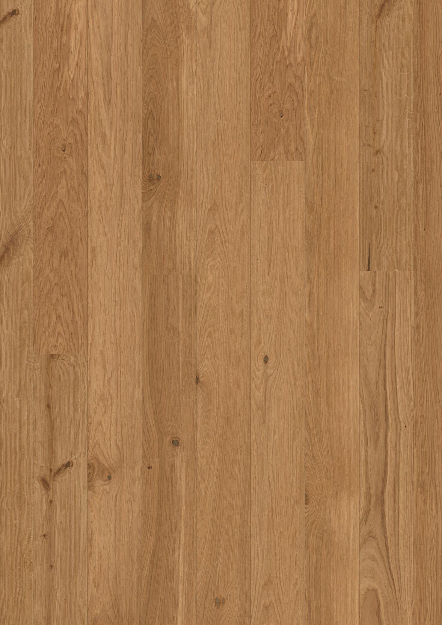 Parkett Bauwerk Casapark Budget Cut tamm 35 harjatud matt lakk naturaalse tamme tooni ja kergelt rustikaalse sorteeringuga.