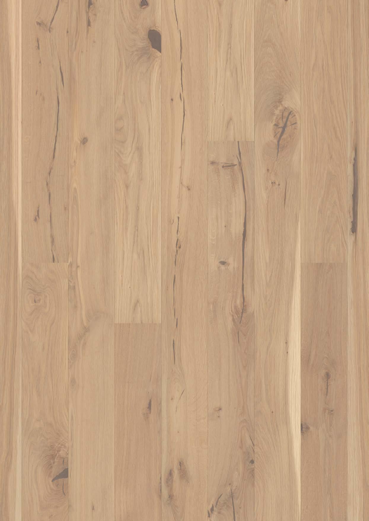 Parkett Bauwerk Casapark Budget Cut tamm 56 Crema harjatud Bprotect ekstra matt lakiga viimistletud heledat tooni ja tugevalt rustikaalse sorteeringuga. Faasid parketilaua kahel pikemal küljel.