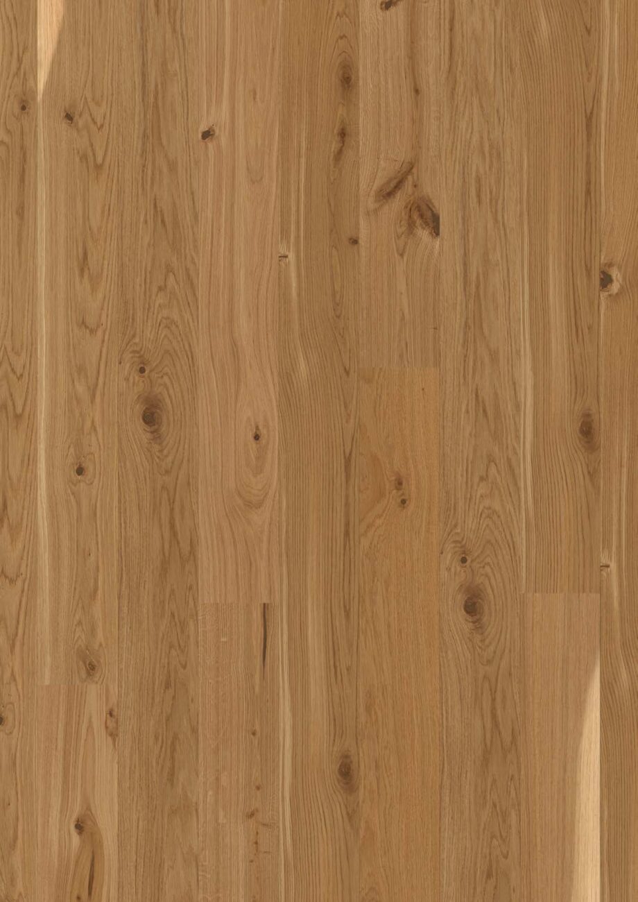 parkettilattia-bauwer-boen-casapark-tammi-46-vivo-harjattu-oljyvahattu-138mm Parkettilattia Bauwerk Boen Casapark tammi 46 Vivo (138 mm), harjattu ja öljyvahattu, asennettuna kodin lattialle – luonnollinen, lämminsävyinen tammensävy (Vivo) ja rustiikkinen sorteerus (oksakohtia sekä eläväistä sävyvaihtelua). Harjattu pinta korostaa puun aitoa tekstuuria.