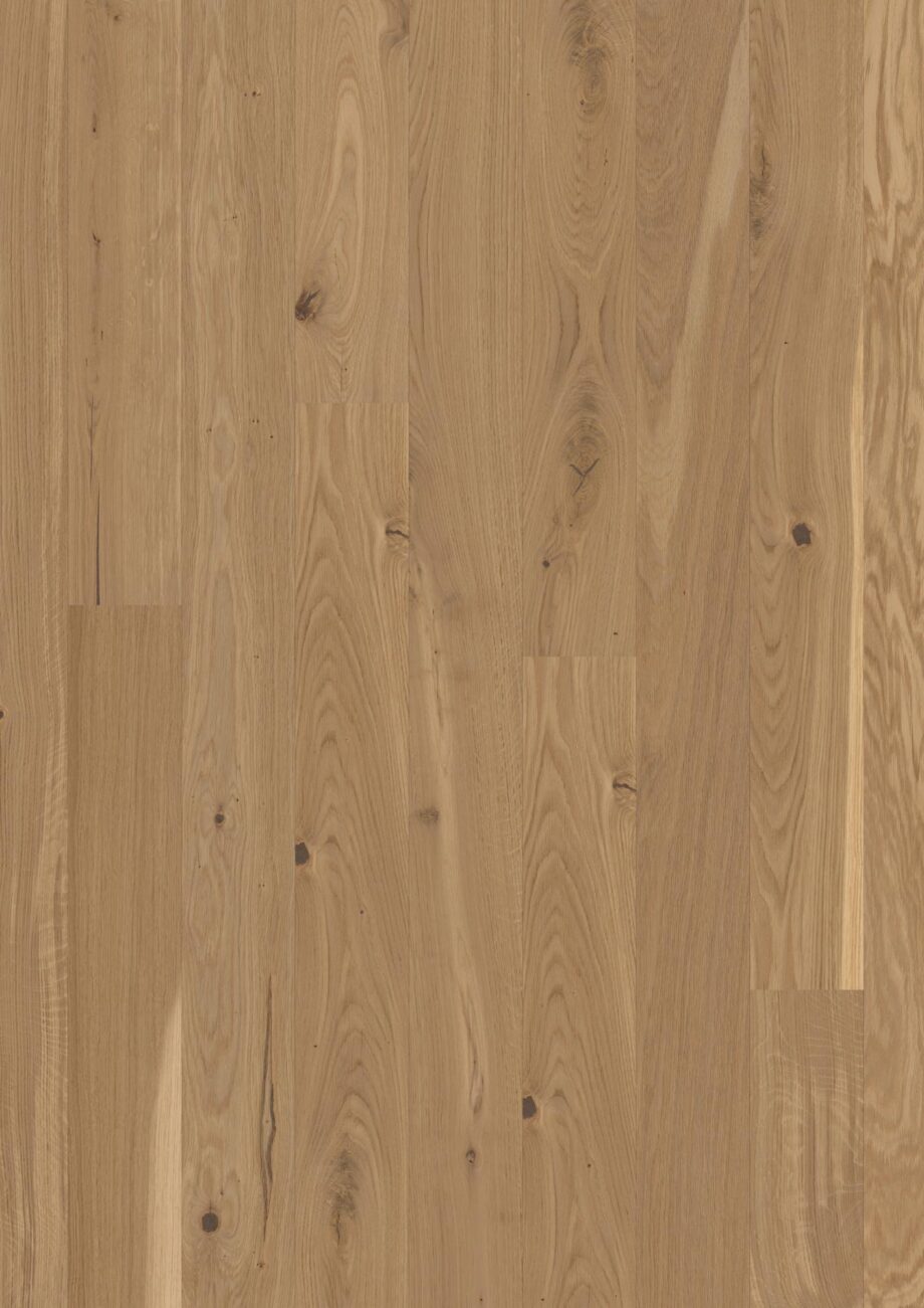 Puitparkett Bauwerk Boen Casapark tamm 46 Vivo Avorio heleda õlivahatatud viimistlusega ja rustikaalse sorteeringuga.
