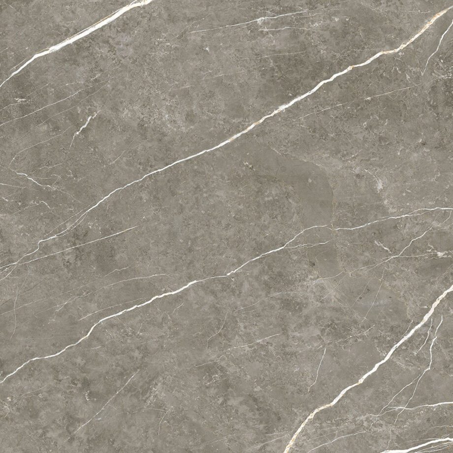 004.804.0294.07981-1 Marmorefektiga poleeritud keraamiline põrandaplaat Tau Elite Graphite Pol, 90x90 cm, grafiithall, rektifitseeritud