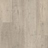 Tugevdatud südamikuga LVT vinüülparkett Floorify Long Plank Goose F036