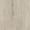 Tugevdatud südamikuga LVT vinüülparkett Floorify XL Plank Clooney F099