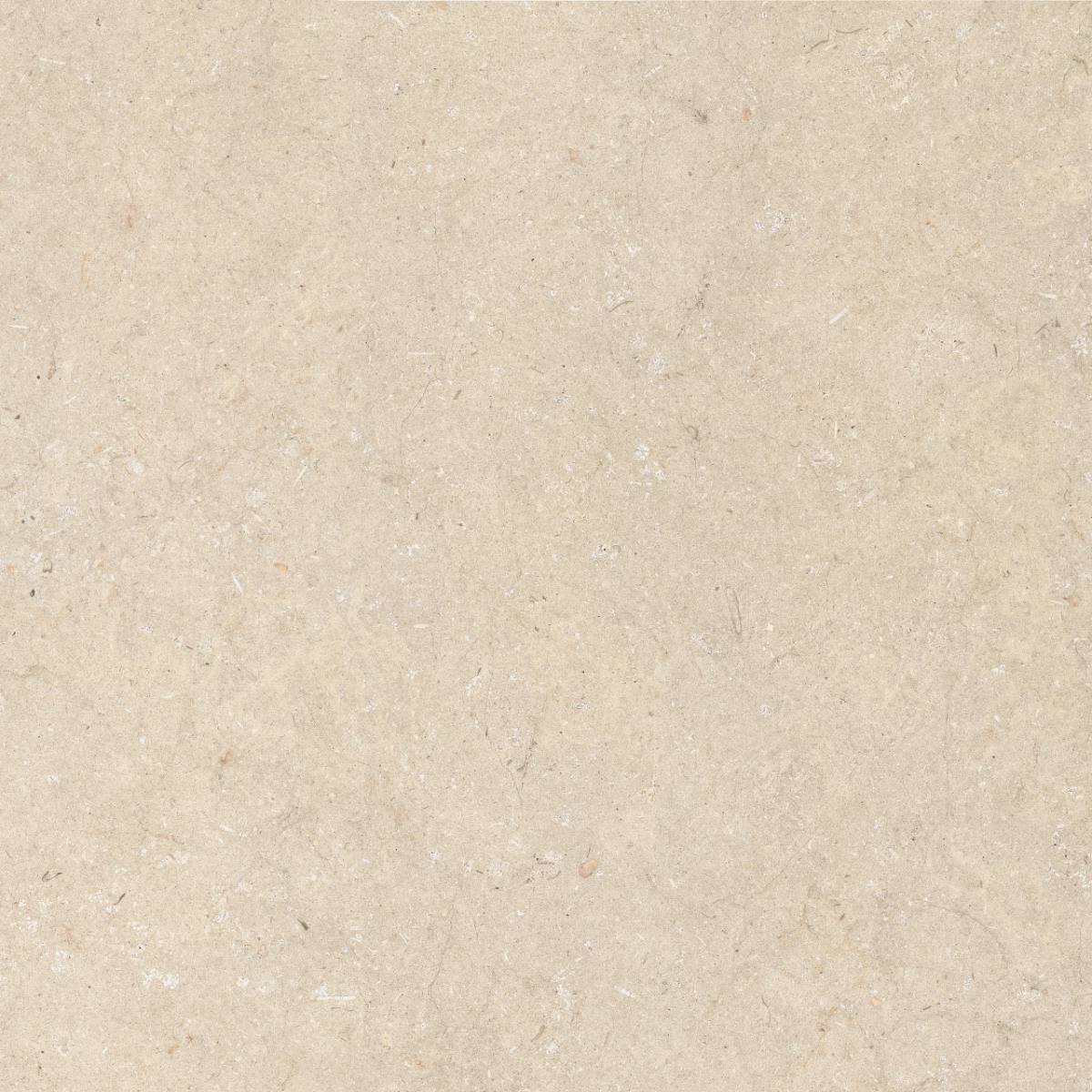 Stone effect porcelain floor tile ABK Poetry Stone Trani Beige, 120x120 cm, 8.5 mm, natural matt, slip-resistant R10