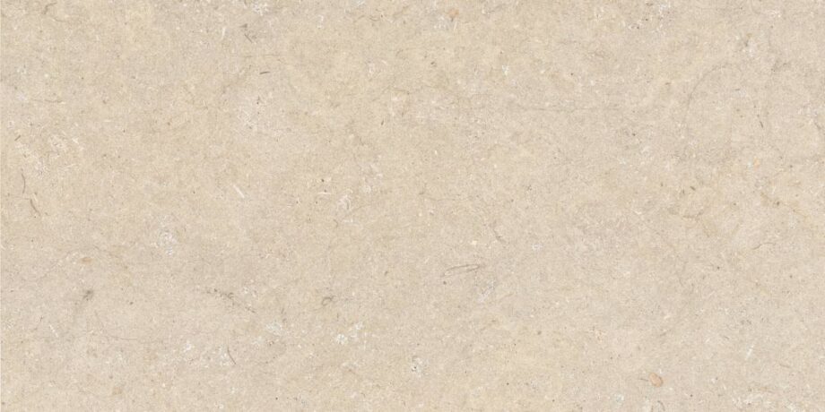 abk-poetry-stone-0010538-1 abk-poetry-stone-0010538-1