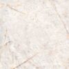 abk-sensi-gems-0005693-1 abk-sensi-gems-0005693-1