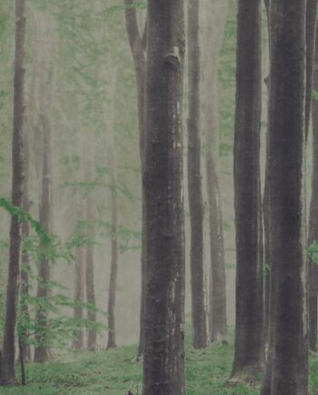 Patterned large porcelain decor slab ABK Wide&Style Woods A, 160x320 cm, 6 mm, matt