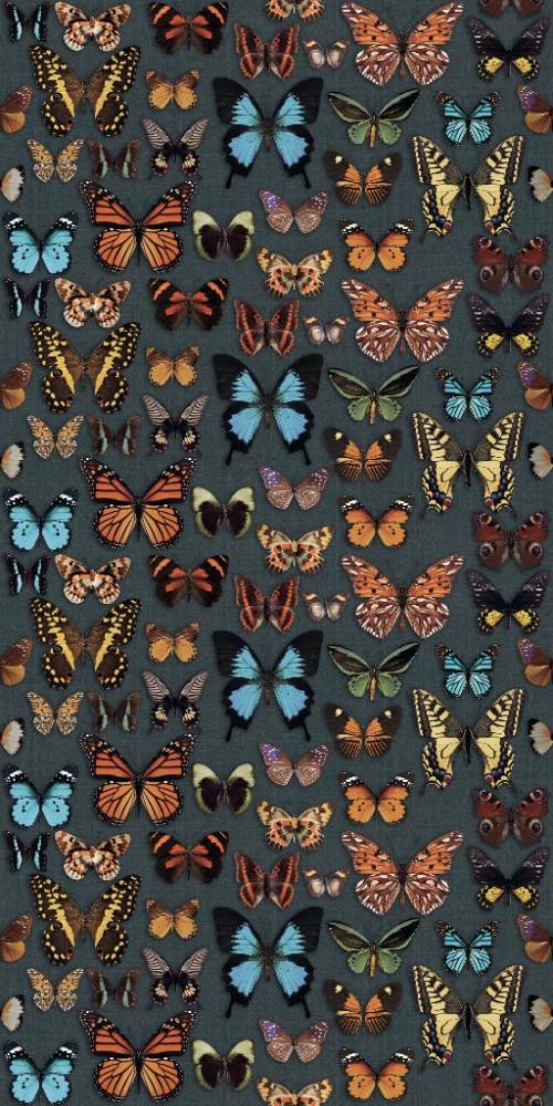 Patterned large porcelain decor slab ABK Wide&Style Papillon, 160x320 cm, 6 mm, matt