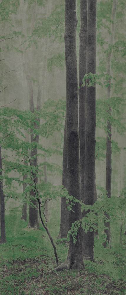 Patterned large porcelain decor slab ABK Wide&Style Woods C, 120x280 cm, 6 mm, matt