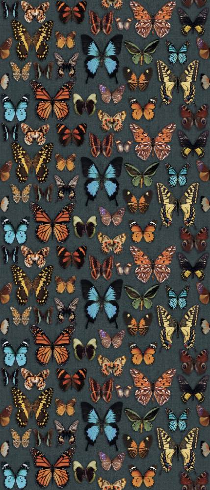 Patterned large porcelain decor slab ABK Wide&Style Papillon, 120x280 cm, 6 mm, matt