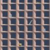 abk-wsod-0011688-1 abk-wsod-0011688-1