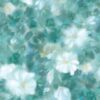 abk-wsod-0017131-1