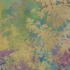 abk-wsod-0017307-1