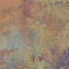 abk-wsod-0017313-1