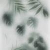 abk-wsrto-0010092-2