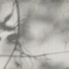 abk-wsrto-0012582-1
