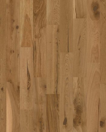 Wooden flooring Bauwerk Budget Cut Oak 56 oil waxed 138mm