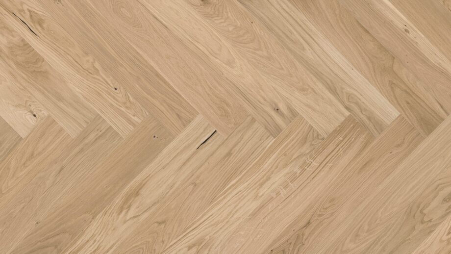 Herringbone floor Oak Crema beveled brushed matt lacquered Herringbone floor Oak Crema beveled brushed matt lacquered