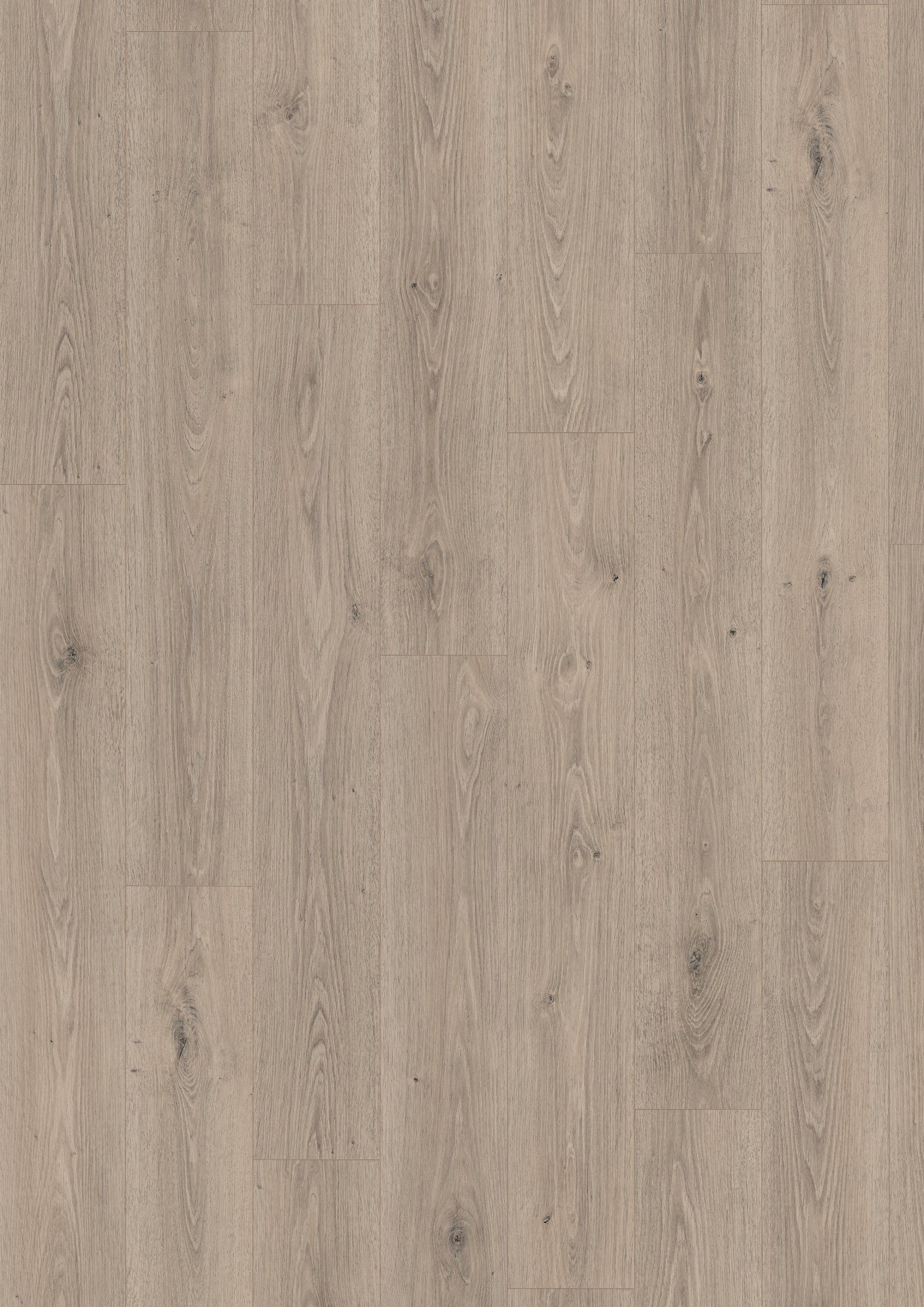 Laminate flooring Egger Grey Treviso Oak, Aqua, 10 mm