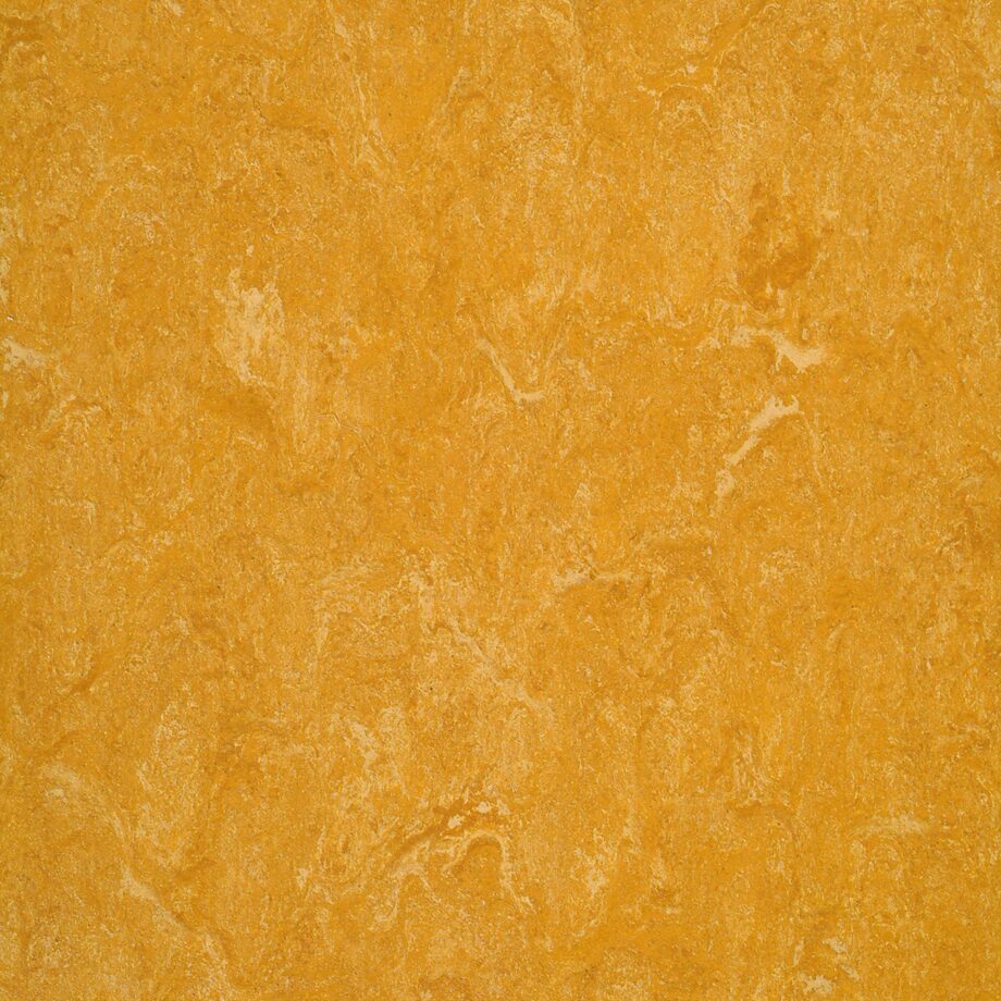 Linoleum Acoustic Plus LPX 2121-073 spicy orange Linoleum Acoustic Plus LPX 2121-073 spicy orange