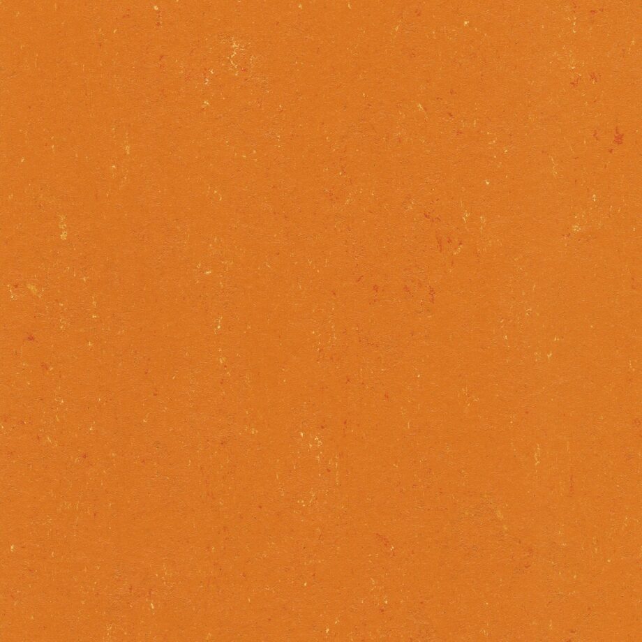 Linoleum floor Gerflor Colorette 0170 Kumquat Orange Linoleum floor Gerflor Colorette 0170 Kumquat Orange