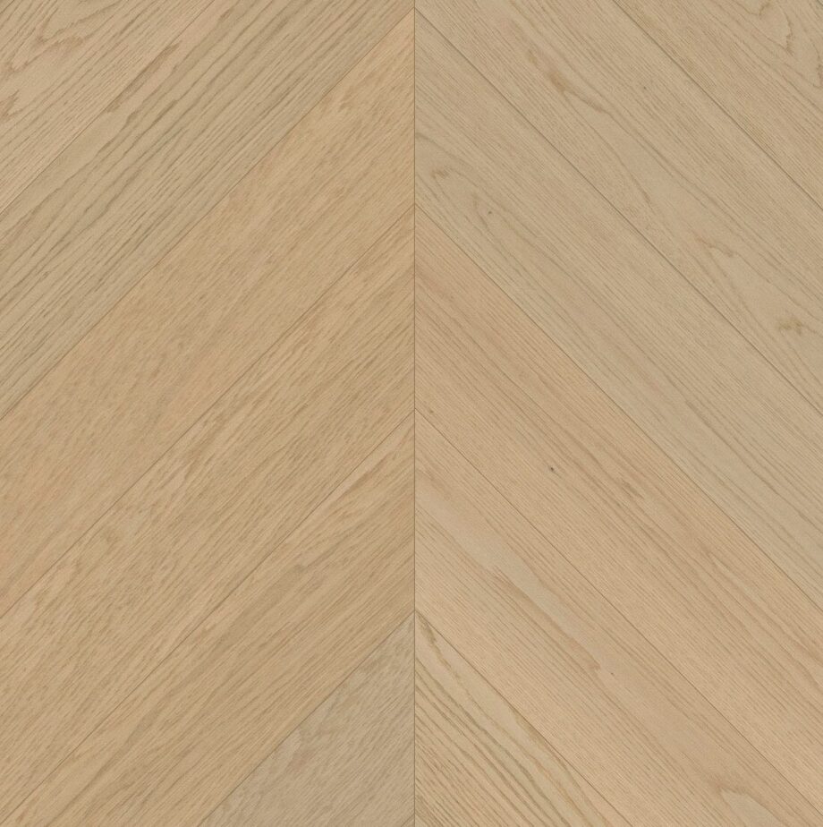 Oak Chevron Parquet Esta Nova Eco Elite Dazy extra matt lacquered Oak Chevron Parquet Esta Nova Eco Elite Dazy extra matt lacquered