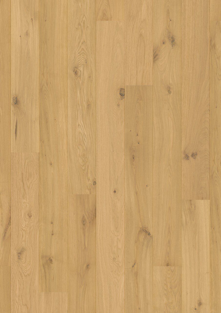 Oak parquet flooring Quick-Step Amato Pure Oak extra matt lacquered, waterproof 145mm