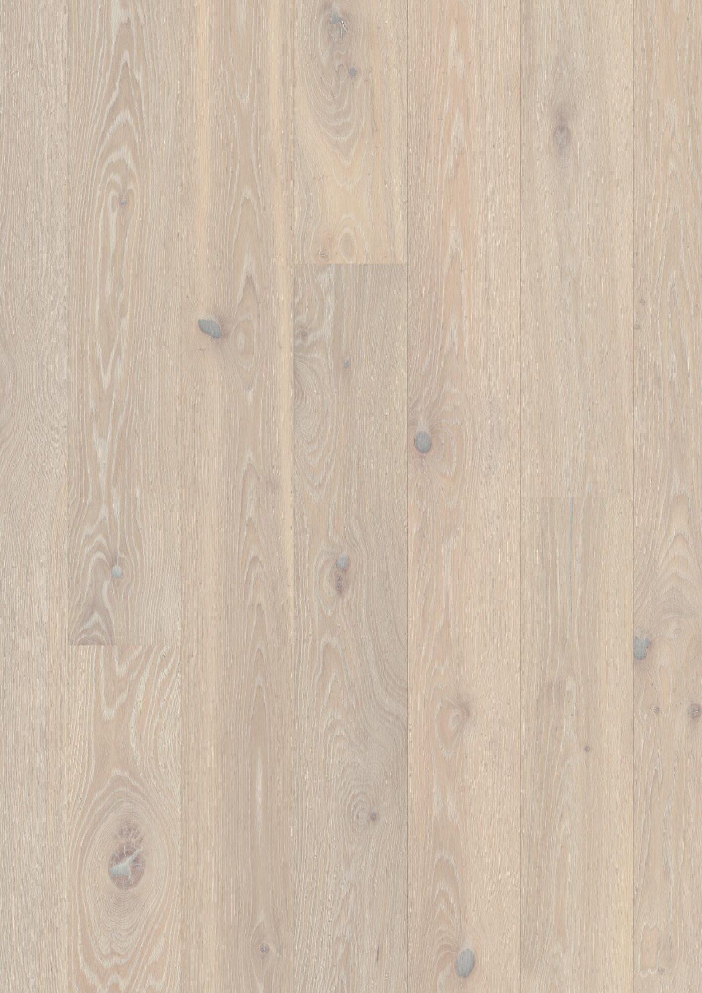 Laudparkett Bauwerk Casapark tamm 46 Farina B-Protect® ultramatt lakk 181mm