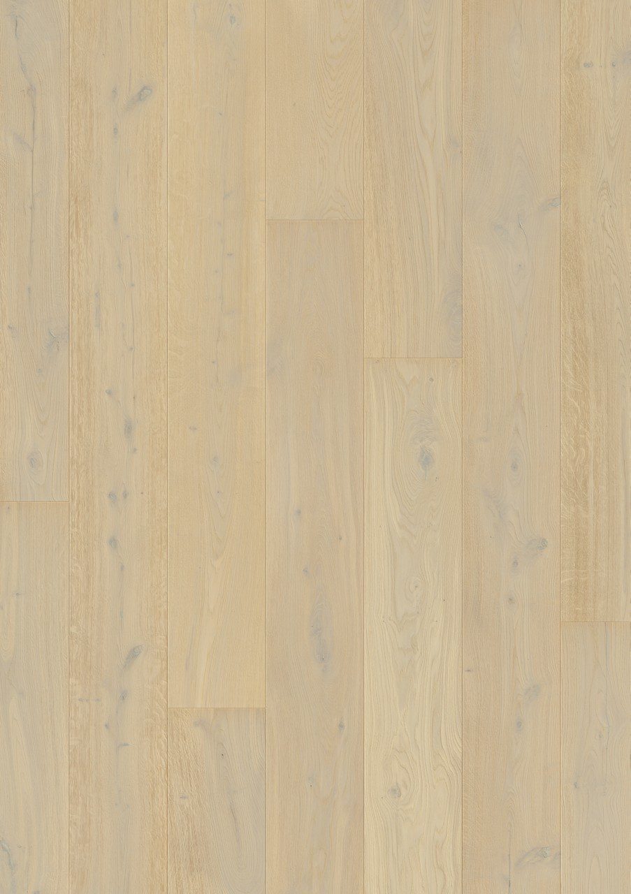 Parquet floor Quick-Step Massimo White Daisy Oak extra matt lacquered 260mm