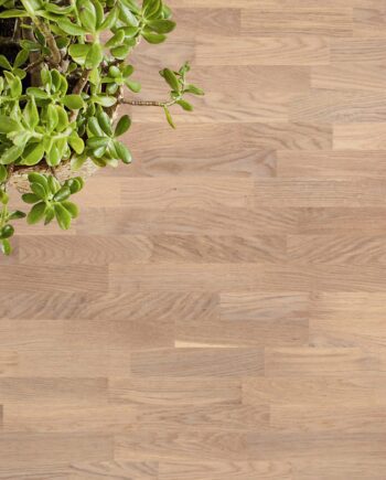 Parquet Tarkett, Grace, Oak Soft Skin TreS, 3-strip, brushed, Proteco ExtraMatt matt lacquer