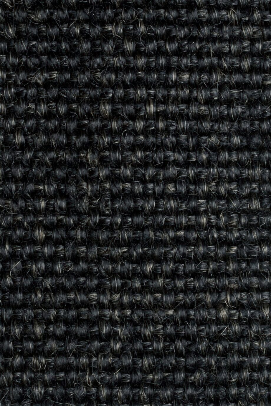 Sisal Carpet Tasibel Allegro 2808/20 Sisal Carpet Tasibel Allegro 2808/20