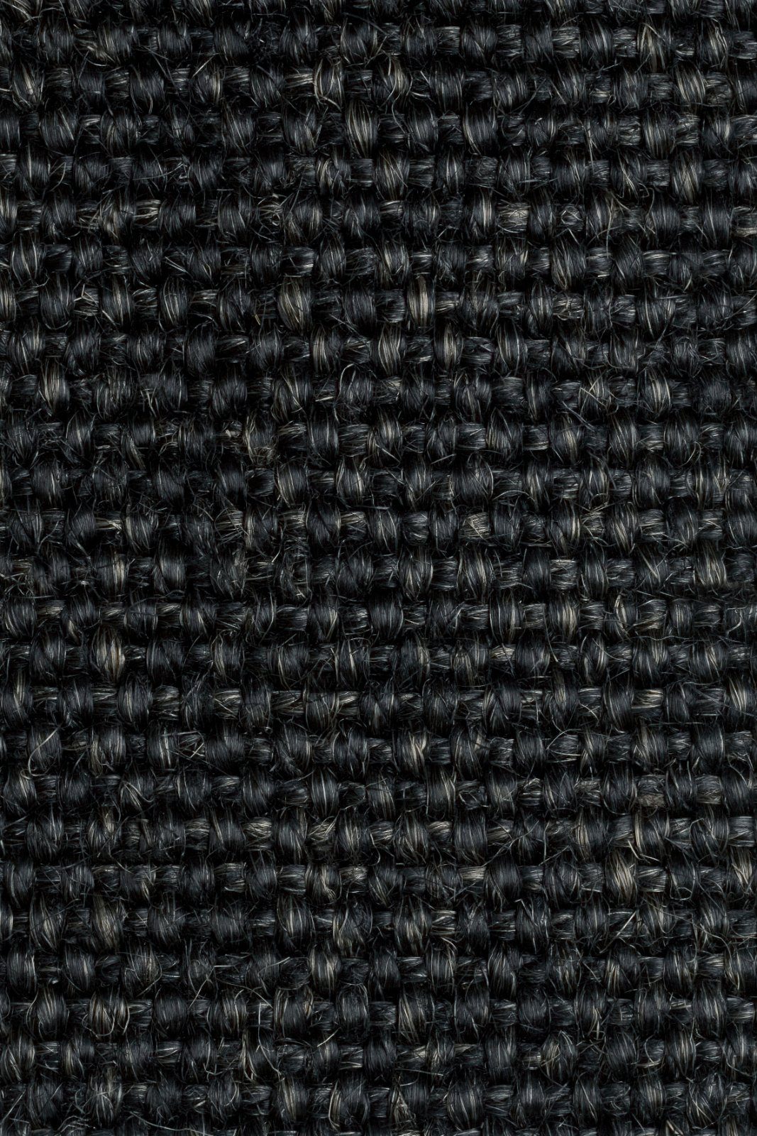 Sisal Carpet Tasibel Allegro 2808/20