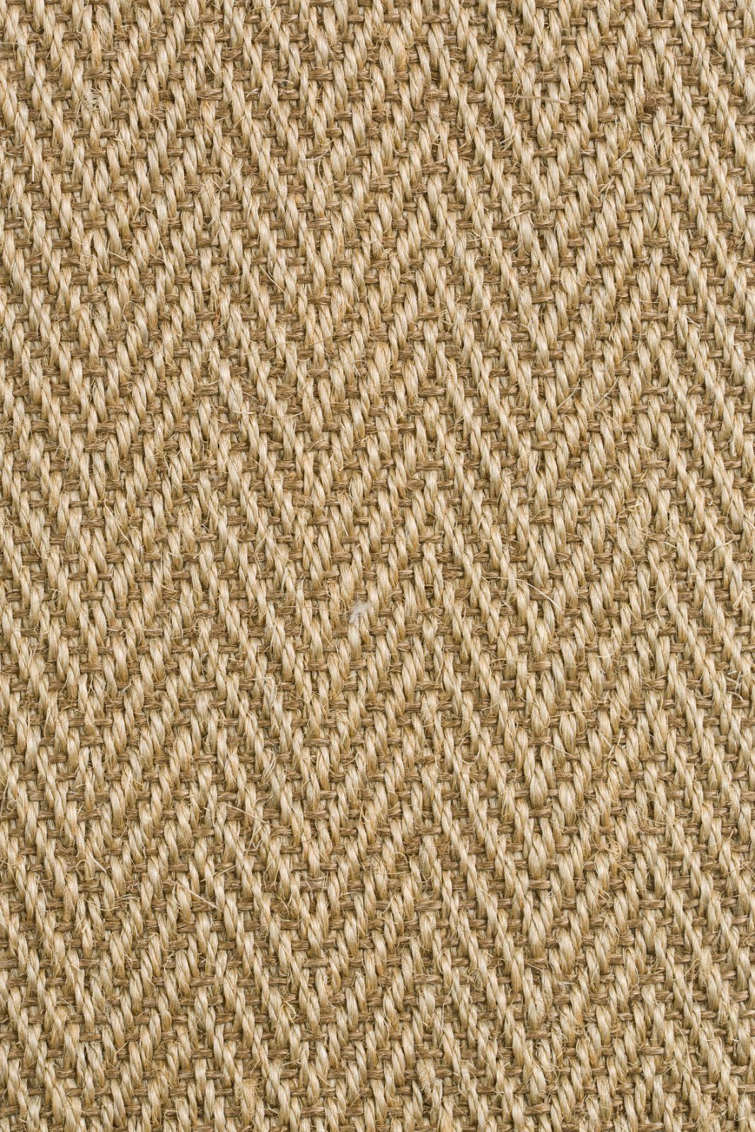 Sisal Carpet Tasibel Bellevue 1413/21