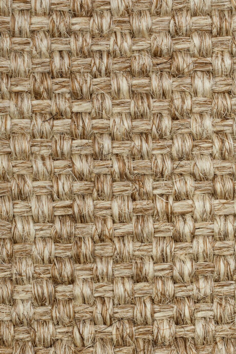 Sisal Carpet Tasibel Colora 2851/20 Sisal Carpet Tasibel Colora 2851/20
