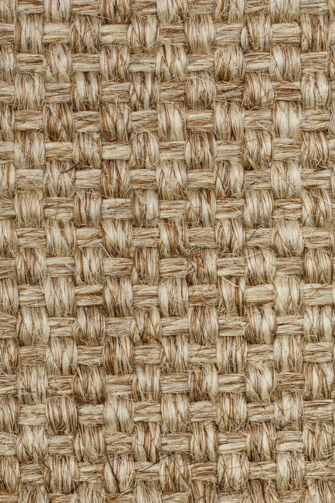 Sisal Carpet Tasibel Colora 2851/20