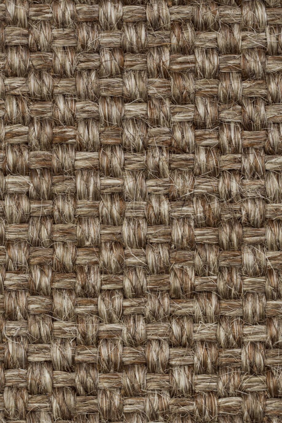 Sisal Carpet Tasibel Colora 2852/20