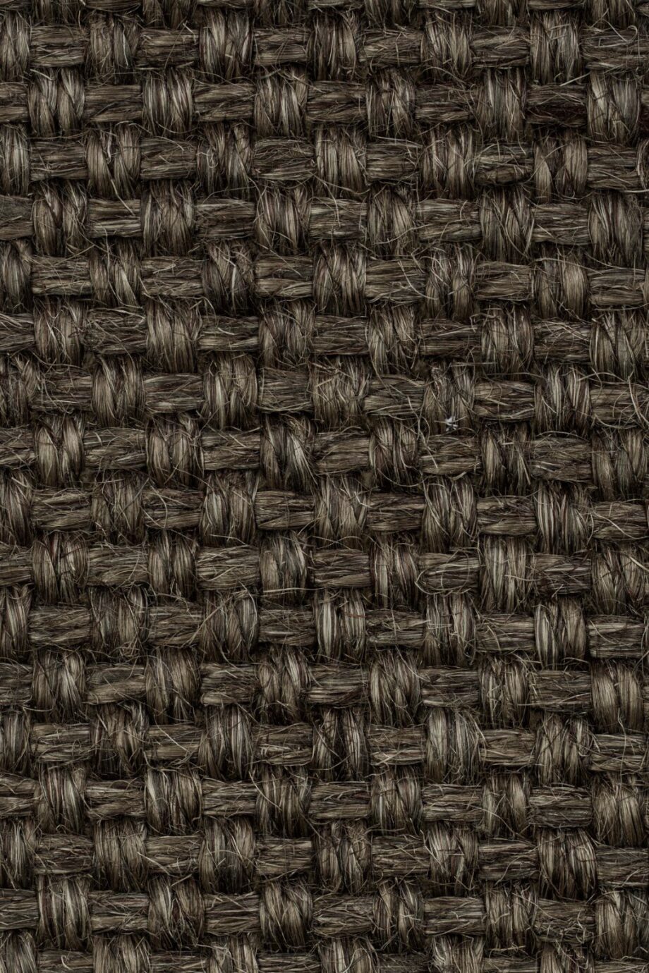 Sisal Carpet Tasibel Colora 2853/20