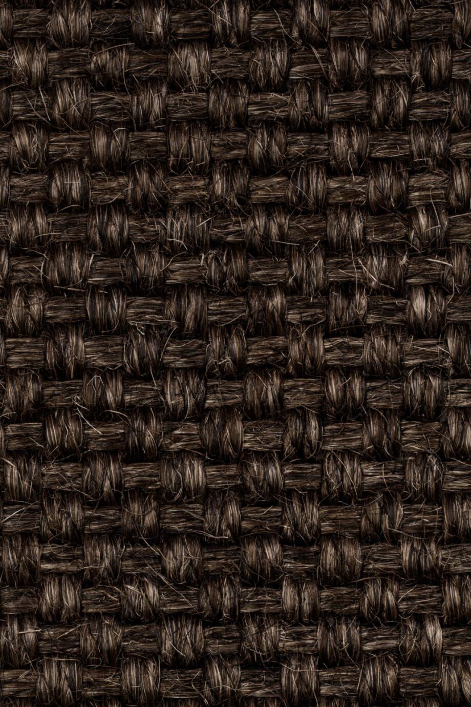 Sisal Carpet Tasibel Colora 2854/20